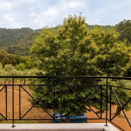 Evergreen Thassos Skala Potamia  Luaran gambar