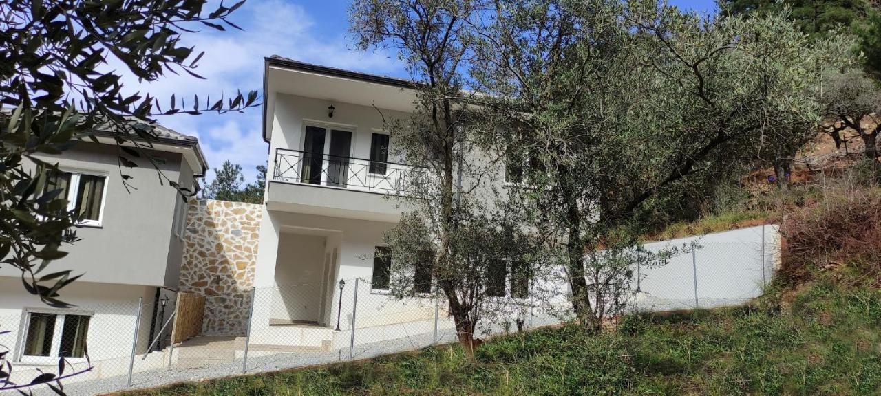 Evergreen Thassos Skala Potamia  Luaran gambar